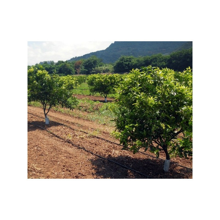 Lašelinis vamzdis Drip-In 44mil x 30 cm (50m)