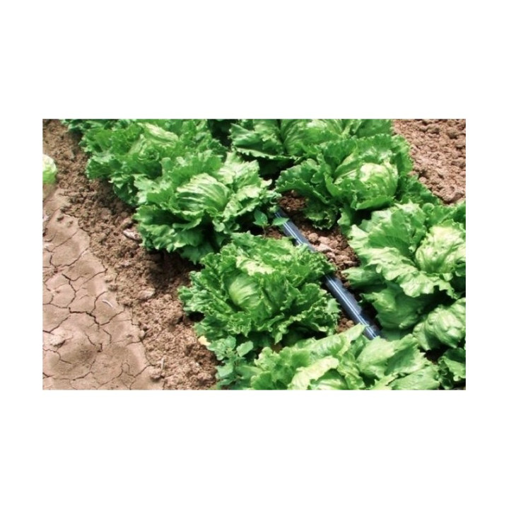 Juosta lašeliniam laistymui Aqua-Traxx 8mil x 30cm (250m)
