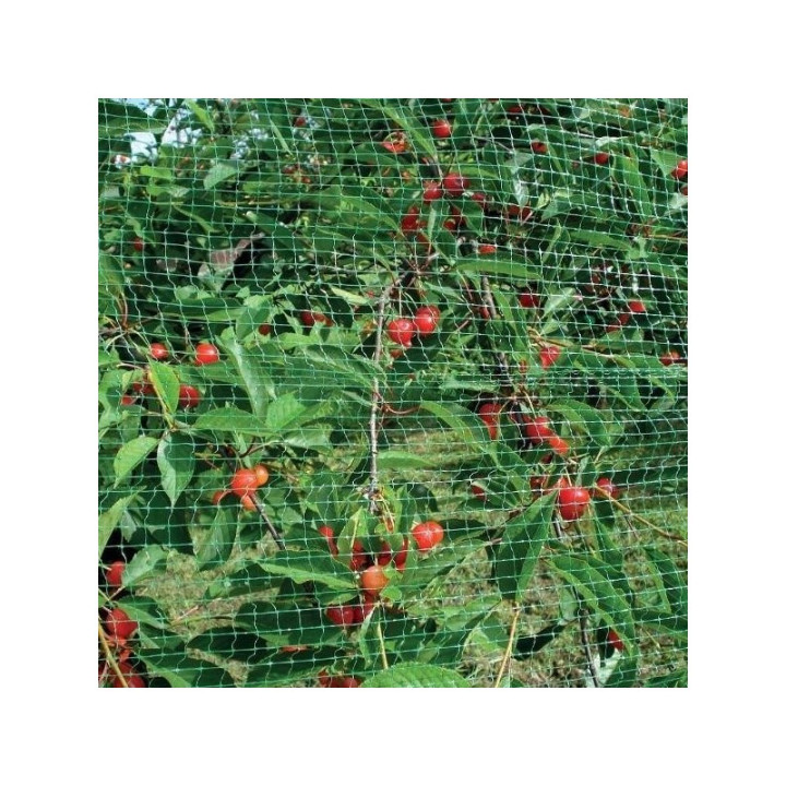 Tinklas nuo paukščių ir kurmių 4x10m (12 g/m²) ORTOAMICA