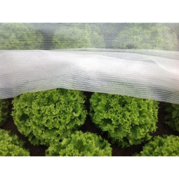 Arricover apsauginis tinklas 2 x 10m
