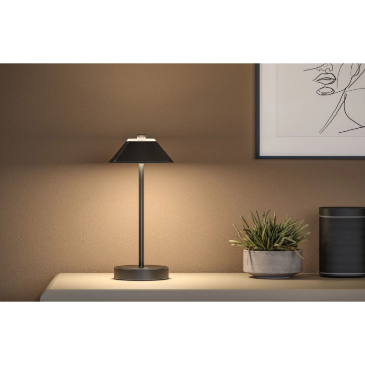 Akumuliatorinis šviestuvas Pellini juodos spalvos, 330x150mm